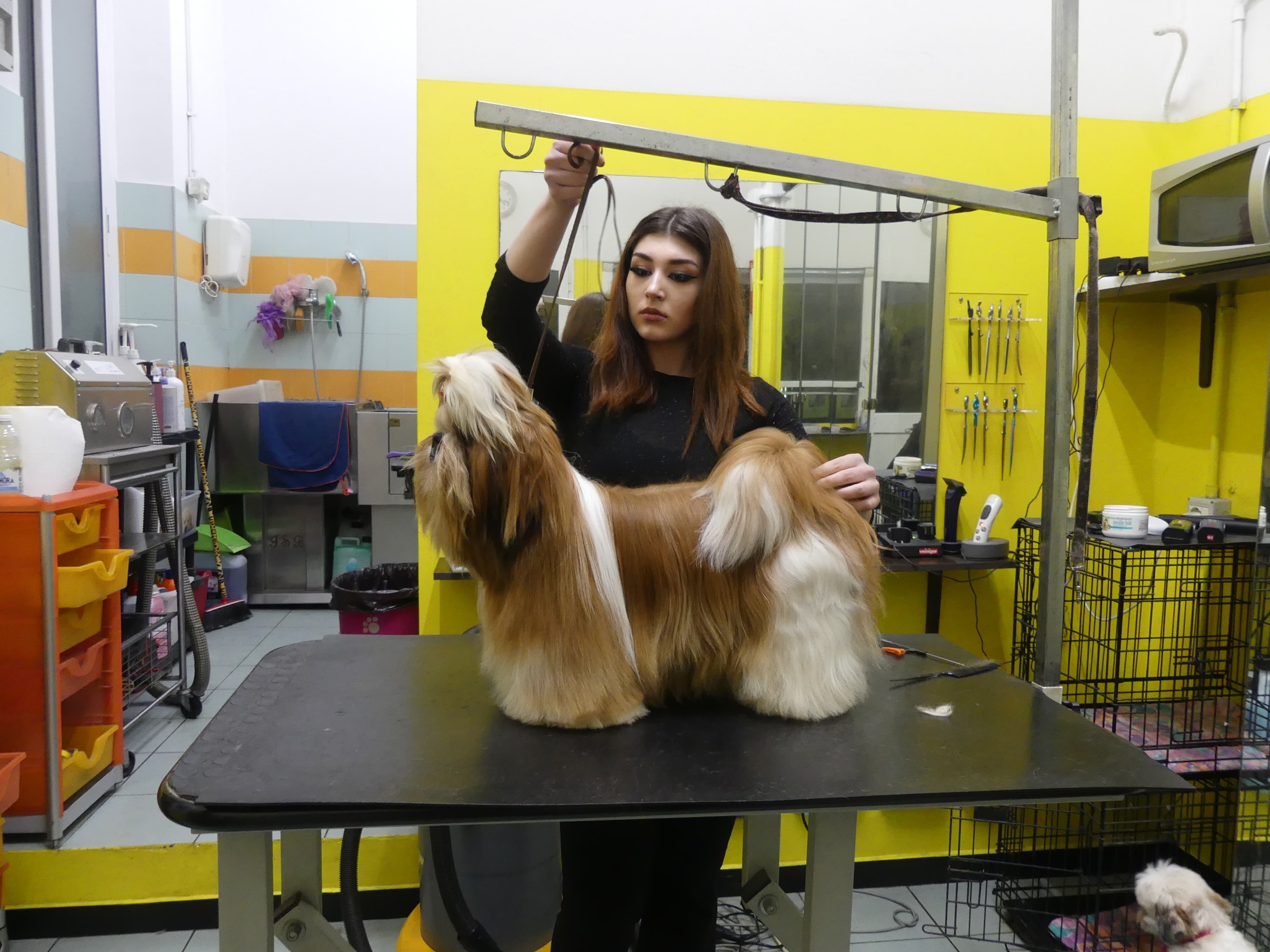 Taglio professionale